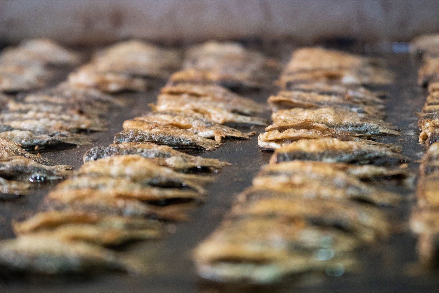 Kalastajankoju-fiiliskuvat-res-100-36